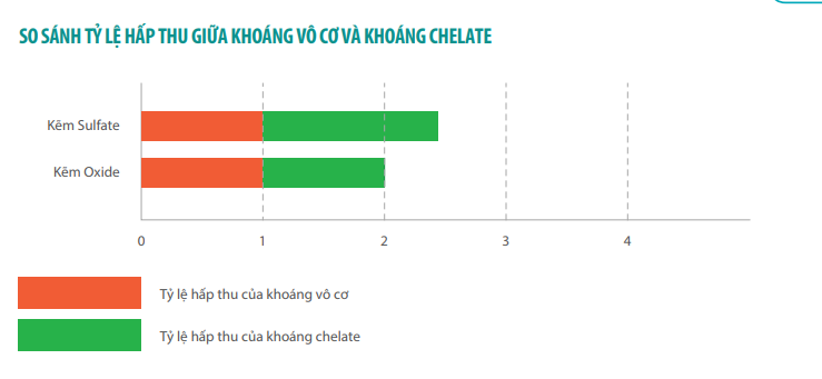 So sánh tỷ lệ hấp thu khoáng vô cơ và khoảng Chelate có trong Vit.H+Zn Forte