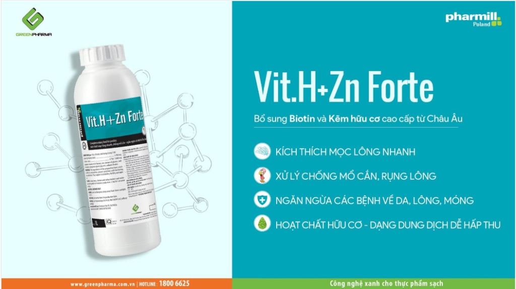 Vit.H+Zn Forte